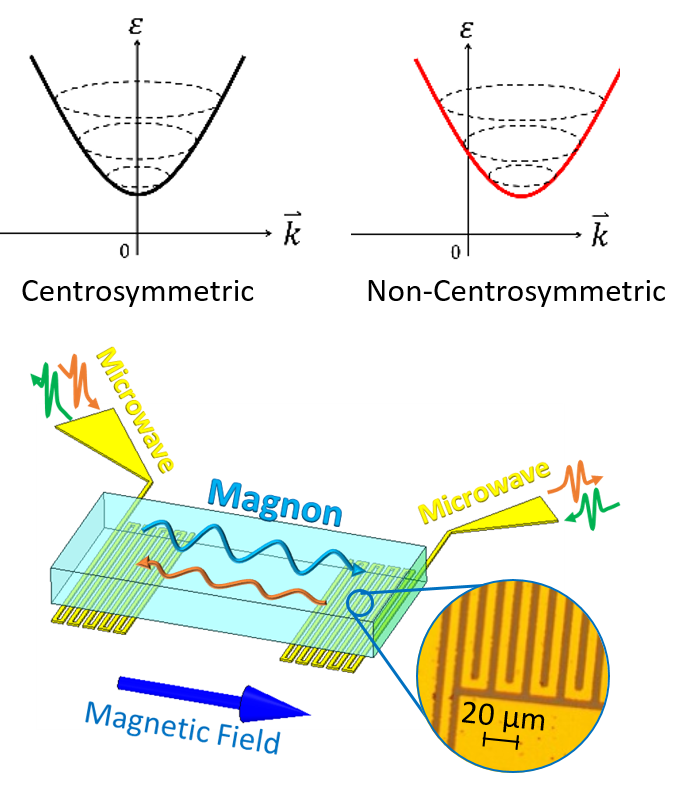 空間反転対称性が破れた強磁性体は非対称なマグノン分散を持つ。高波数のマグノン伝搬を観測するための測定方法。