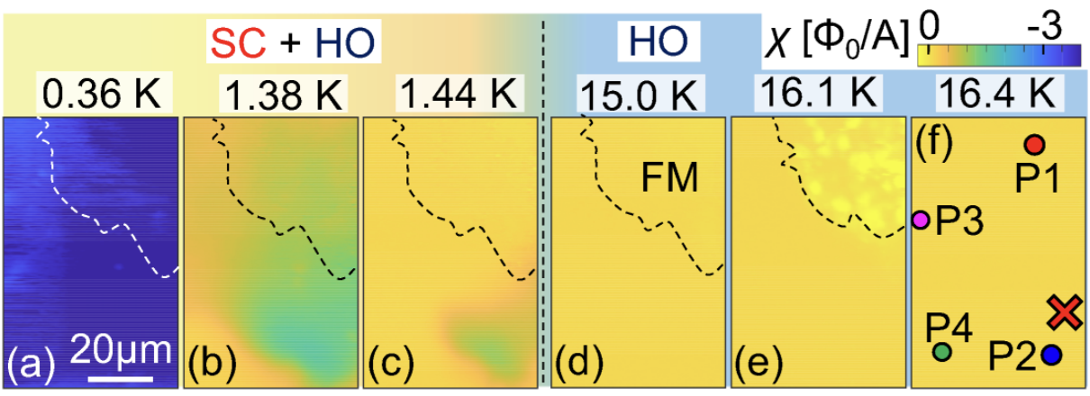 URu$_2$Si$_2$の帯磁率イメージング。Reprinted figure from [1]. Copyright 2021, by American Physical Society.